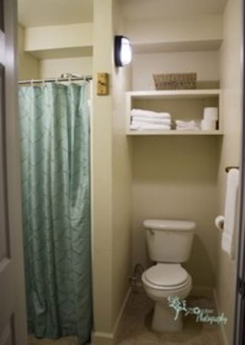 Bathroom with shower and sink