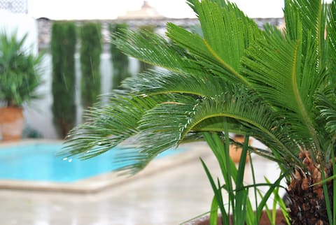 Villa Porto, Son Espanyolet. Relax & Comfort