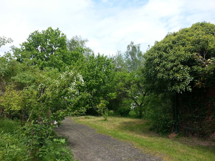 Blick die Auffahrt hinunter