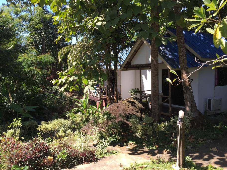 The garden with bungalows