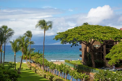 Top Airbnb: Kaanapali Shores - SUPER CLEAN! OceanView 1bd/1ba in Kaanapali