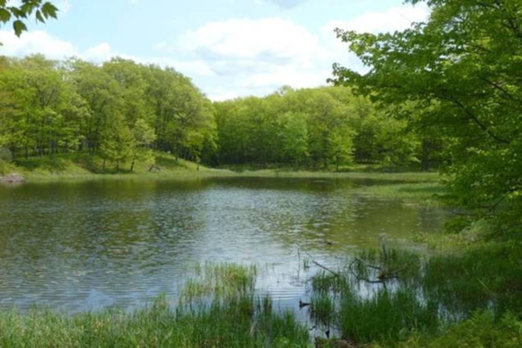 Linden Lake