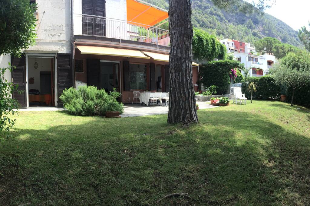 giardino sul mare / garden on the sea