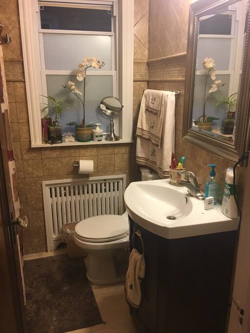 First floor full bathroom