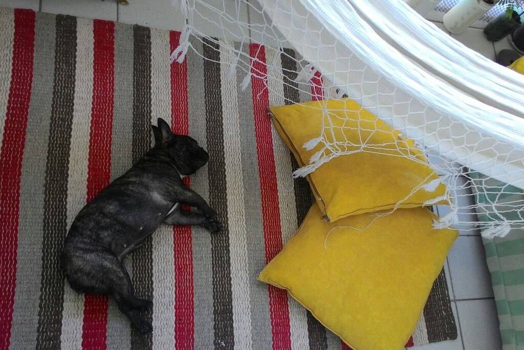 Piggie marie