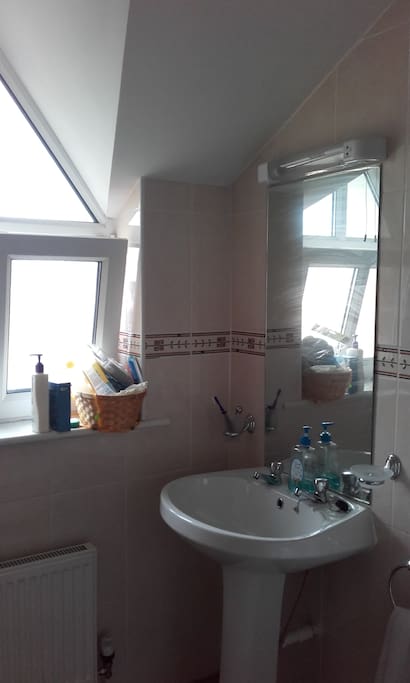 Main bathroom for guests. (Small wash room located downstairs)