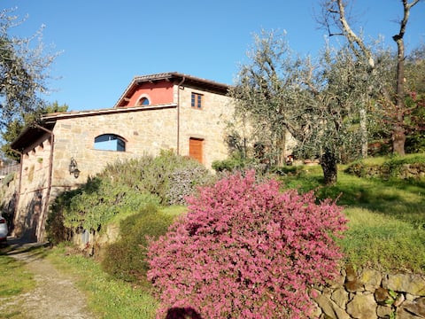 La limonaia: holidays in countryside