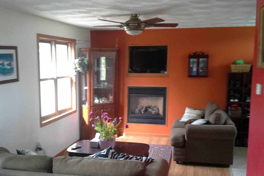 Main Level Living room. Two sofas. Large sofa pulls out into a double bed. 32" TV with cable & Wii for streaming
