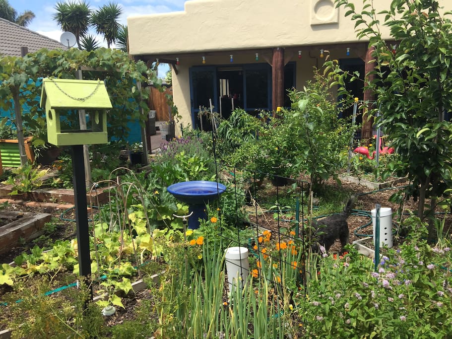 Urban food forest