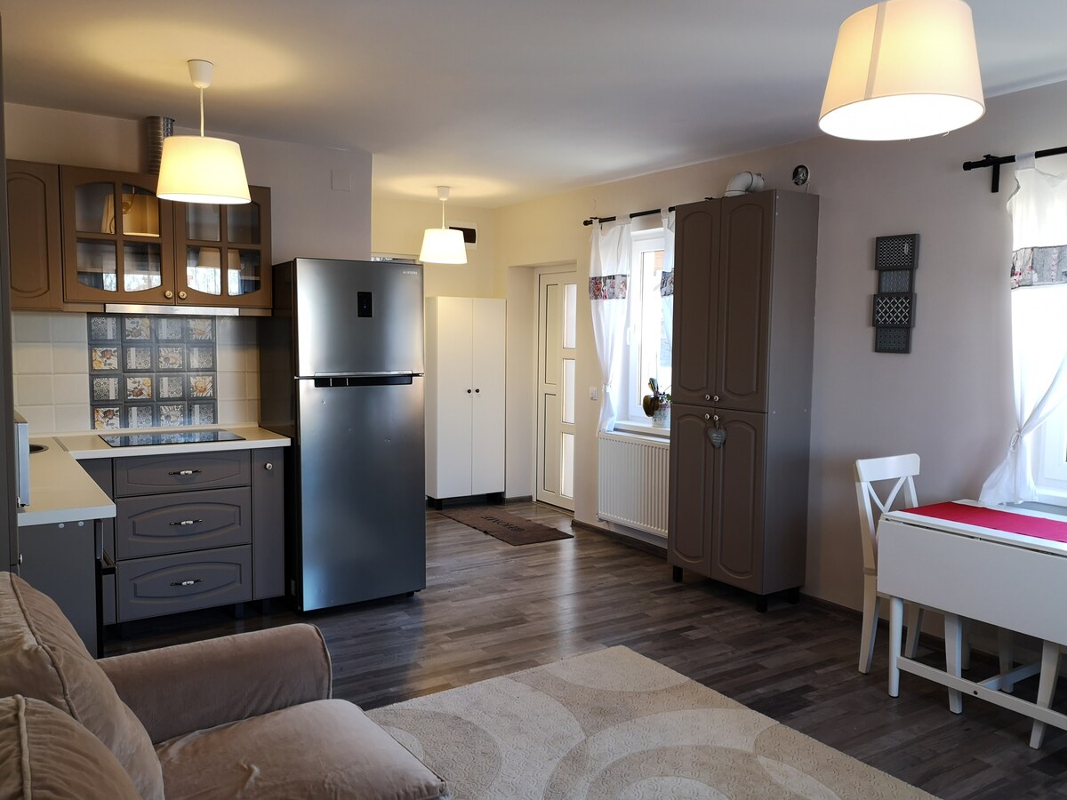 An open kitchen and living area are visible, featuring a modern refrigerator and ample counter space. Soft lighting from two ceiling fixtures illuminates the room. A comfortable sofa is situated in the foreground, and a dining table with white chairs can be seen, enhancing the functional layout.