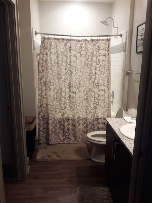 Bathroom with a rainfall shower head and tub