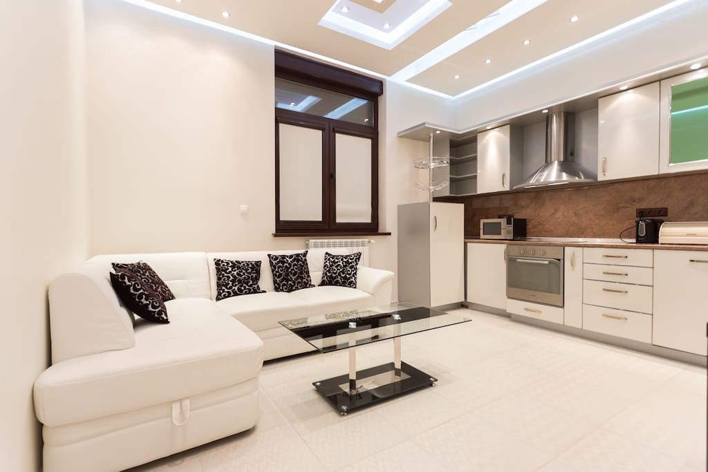 A living room with a kitchenette and a sofa bed