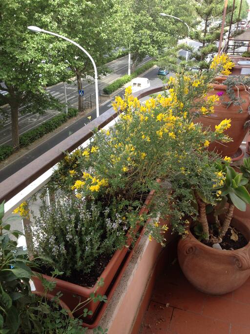 balcone