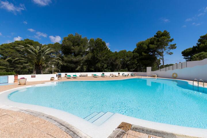 Enzo gallery image 2