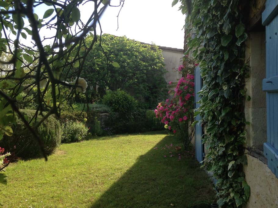 Jardin coté cuisine