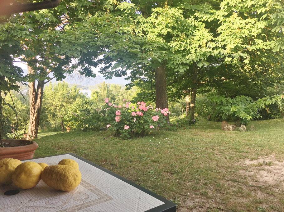 giardino