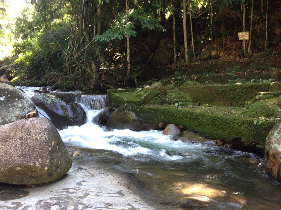 Piscina natural do condomínio com uso comum