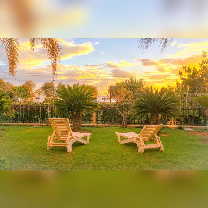 Our gardens in the evenig-sweet sunset..