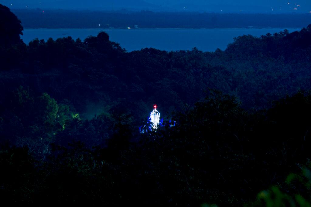 Moonlit Night View from the Premises