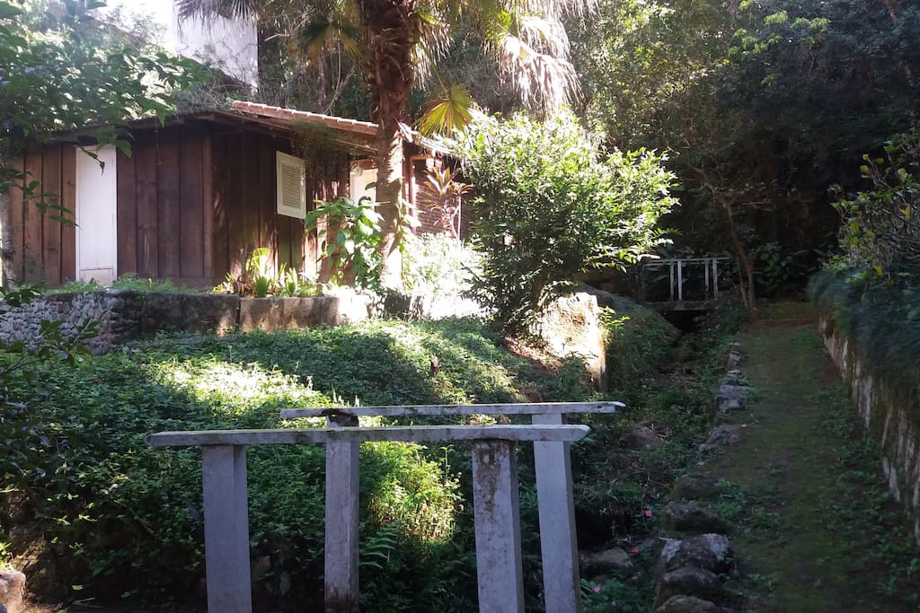 Vista lateral