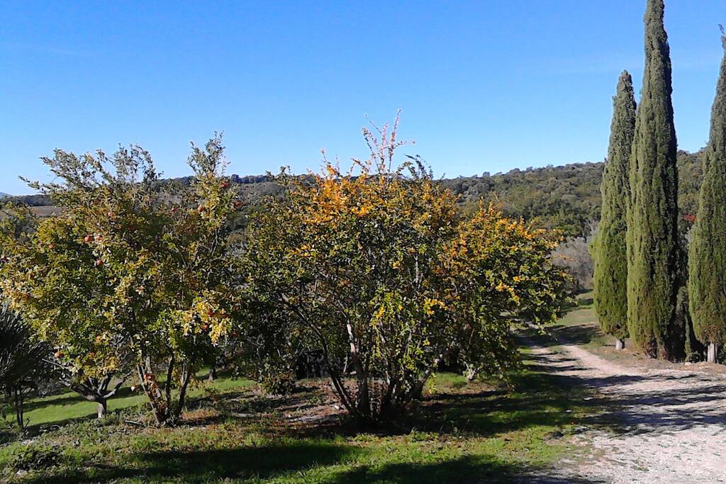 Strada di accesso