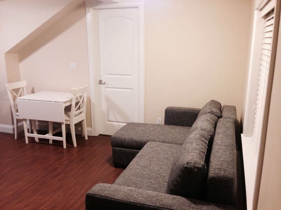 Cozy living room with pull out couch