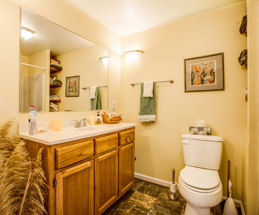 Lower level bathroom has shower in the tub.