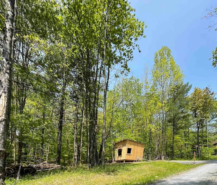 Cabin Sanctuary in the Woods in the Finger Lakes Tiny houses for