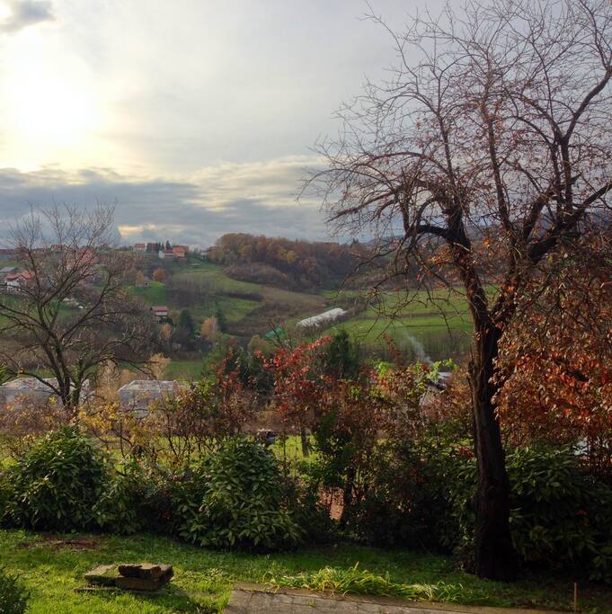 View from the house!
