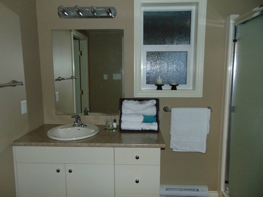 Private en suite with shower