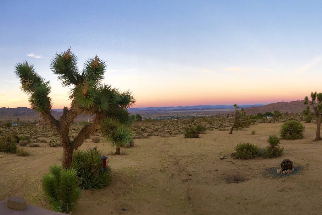 The back yard view at sunset