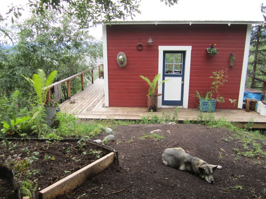 Entrance view of cabin with little perennial gardens.