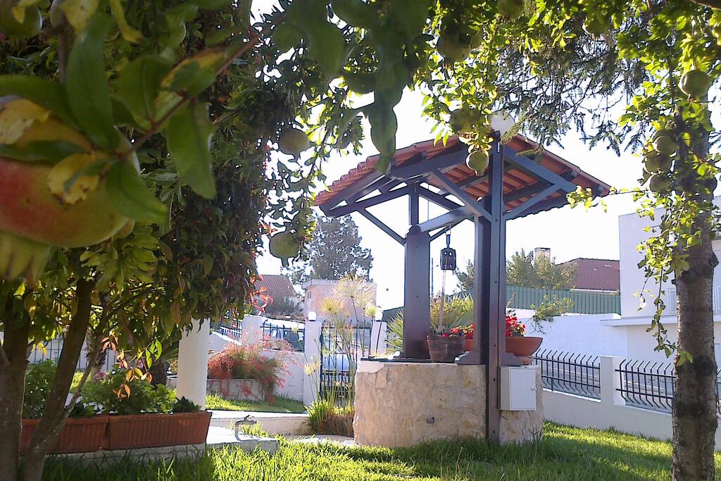 Jardim