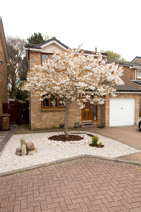 Front Garden in early May 2017
