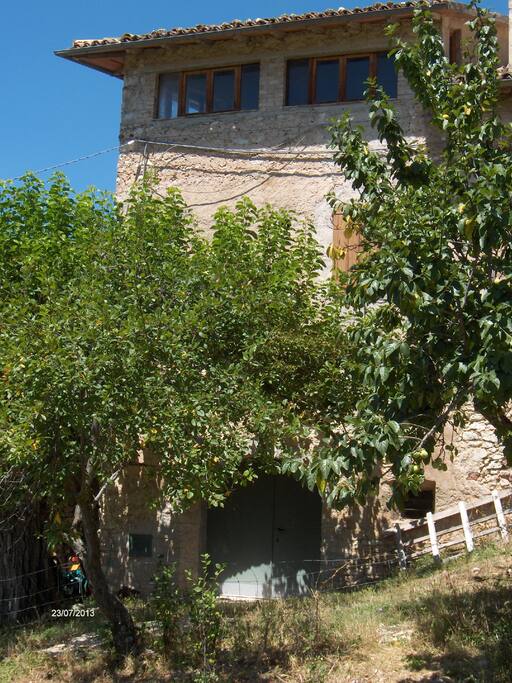 Torretta