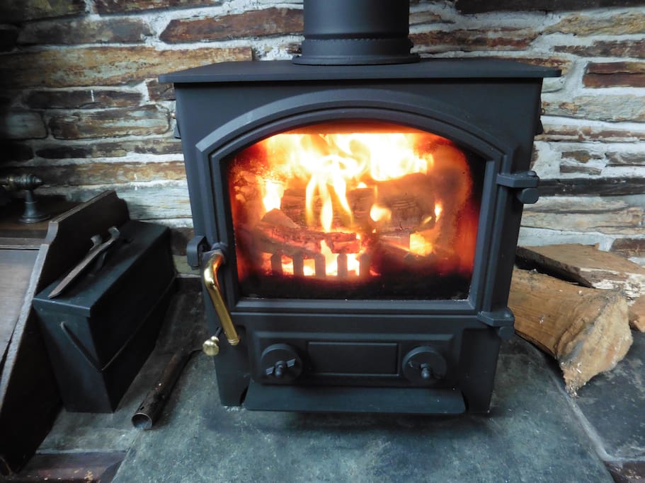 Woodburner in The Old Shippon