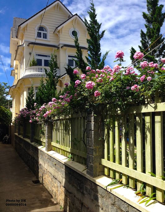 A beautiful corner of the villa