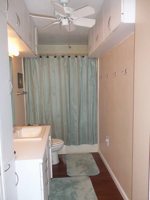 Shower & Tub in bathroom