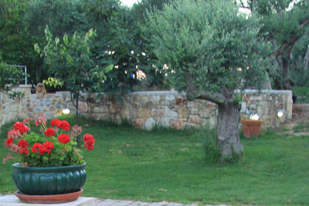 Giardino
