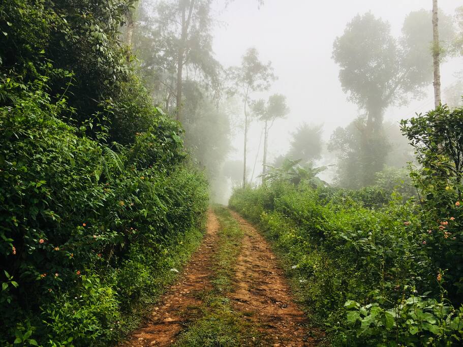 The road to...