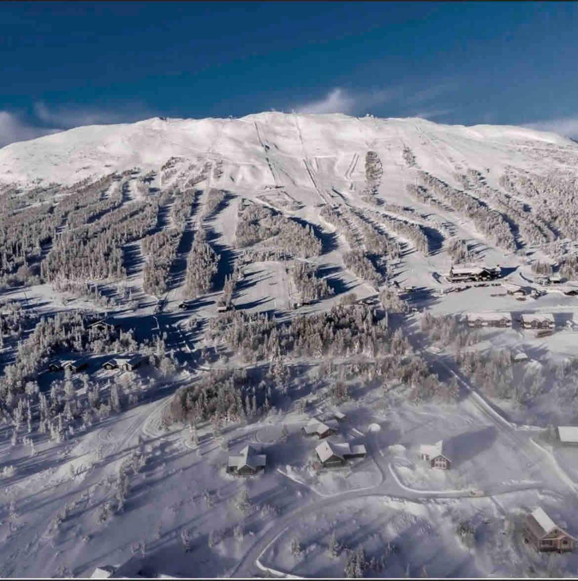 A panoramic view of a snowy mountain landscape features various ski trails winding down the slopes. Surrounding pine trees, blanketed in snow, and scattered cabins create a serene winter scene beneath a clear blue sky.