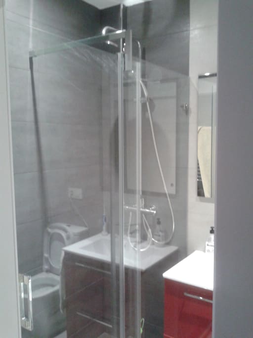 Bathroom with great shower, toilet and bidet