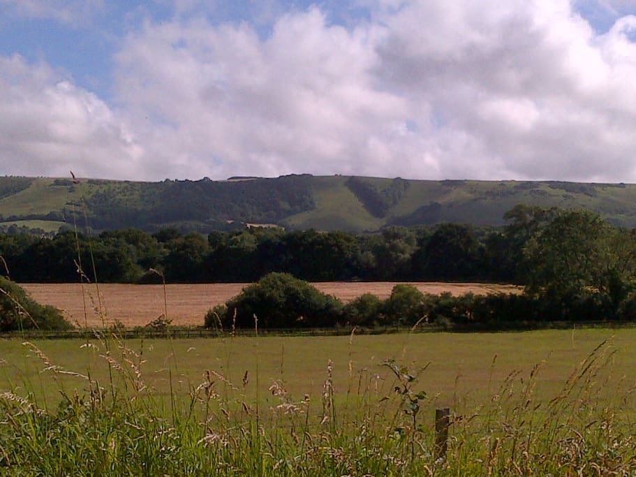 View from cottage terrace and sitting room.