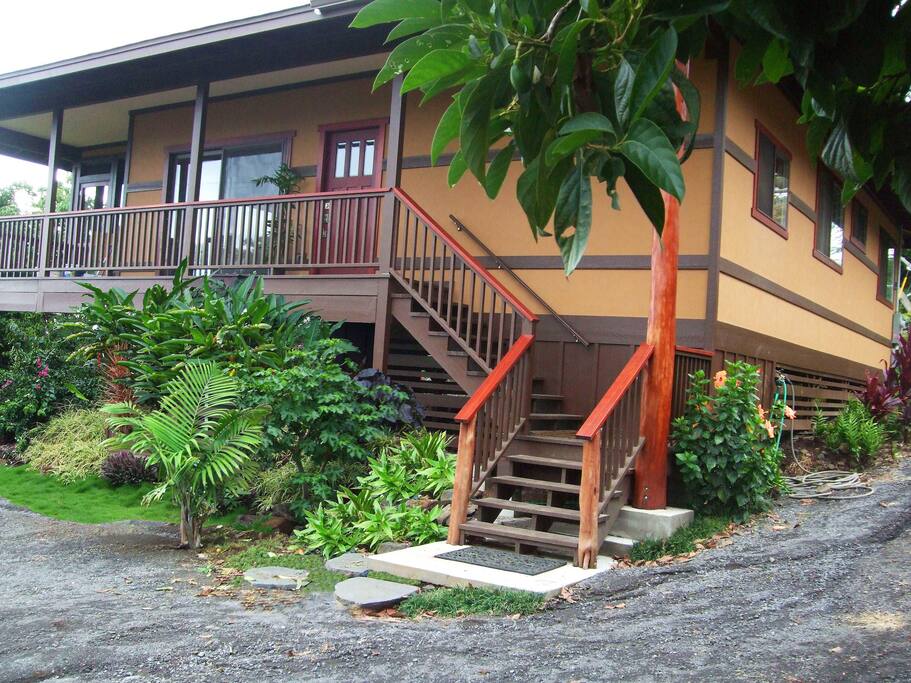 Unit 2A: Treehouse Hale