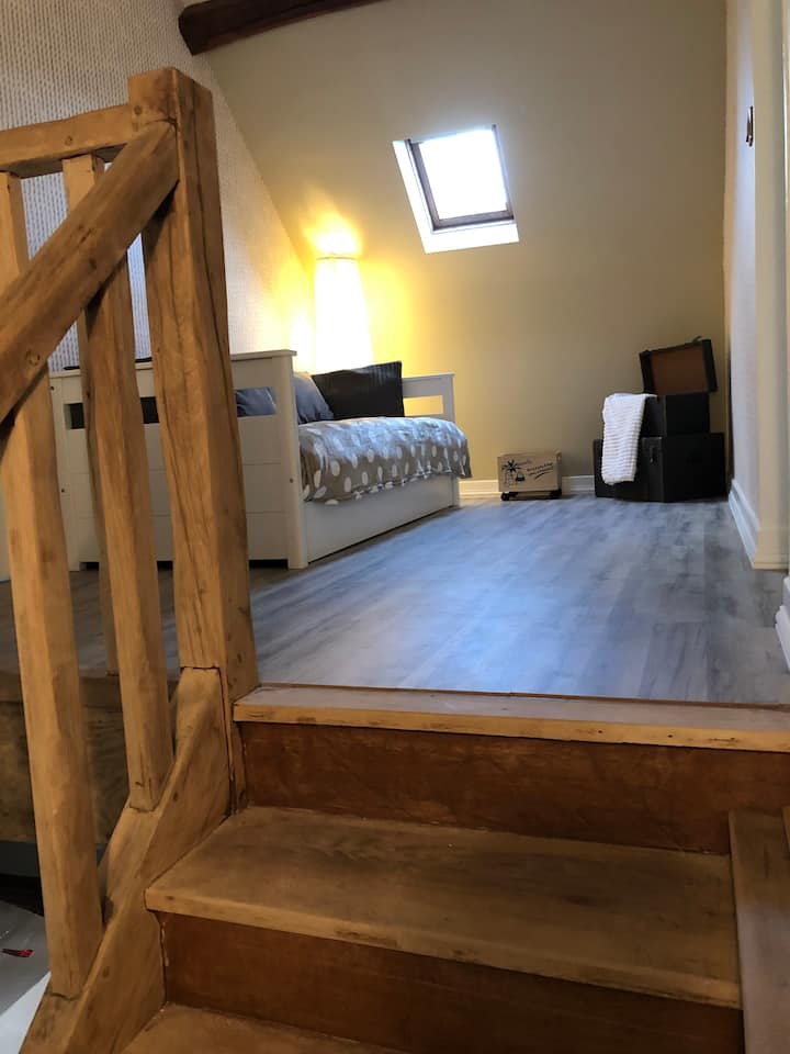 Ანტრესოლი ზემოთ ბავშვებისთვის განკუთვნილი ტელევიზორით, კონსოლით, DVD-თი , წიგნებით