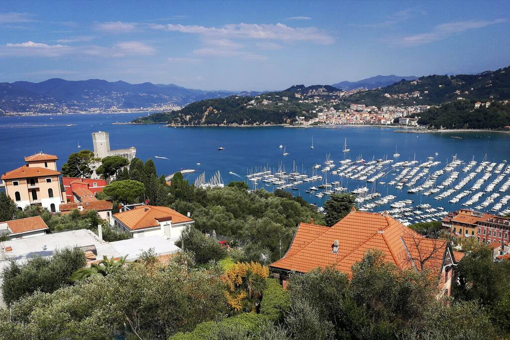 View from the terrace