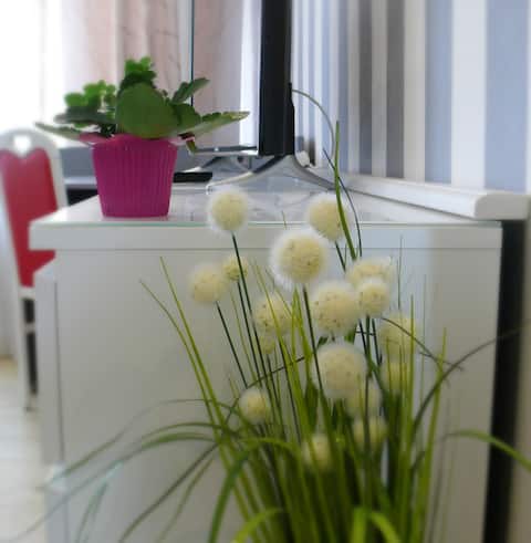 Modern city apartment in a central location.