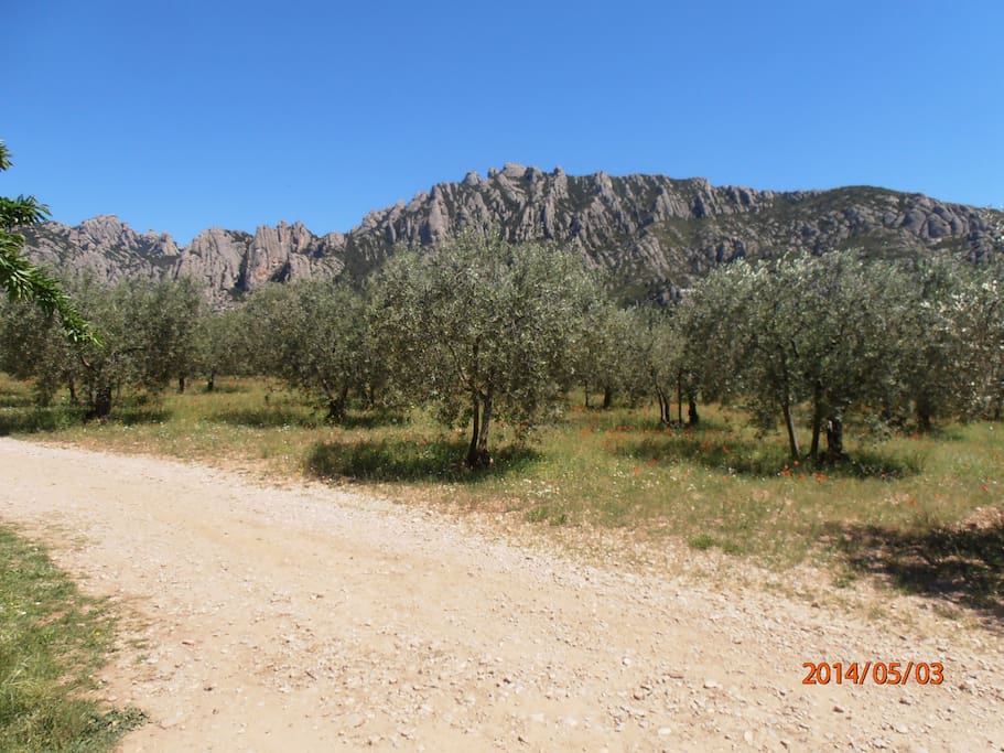 Grandes vistas sobre el parque Natural de Montserrat