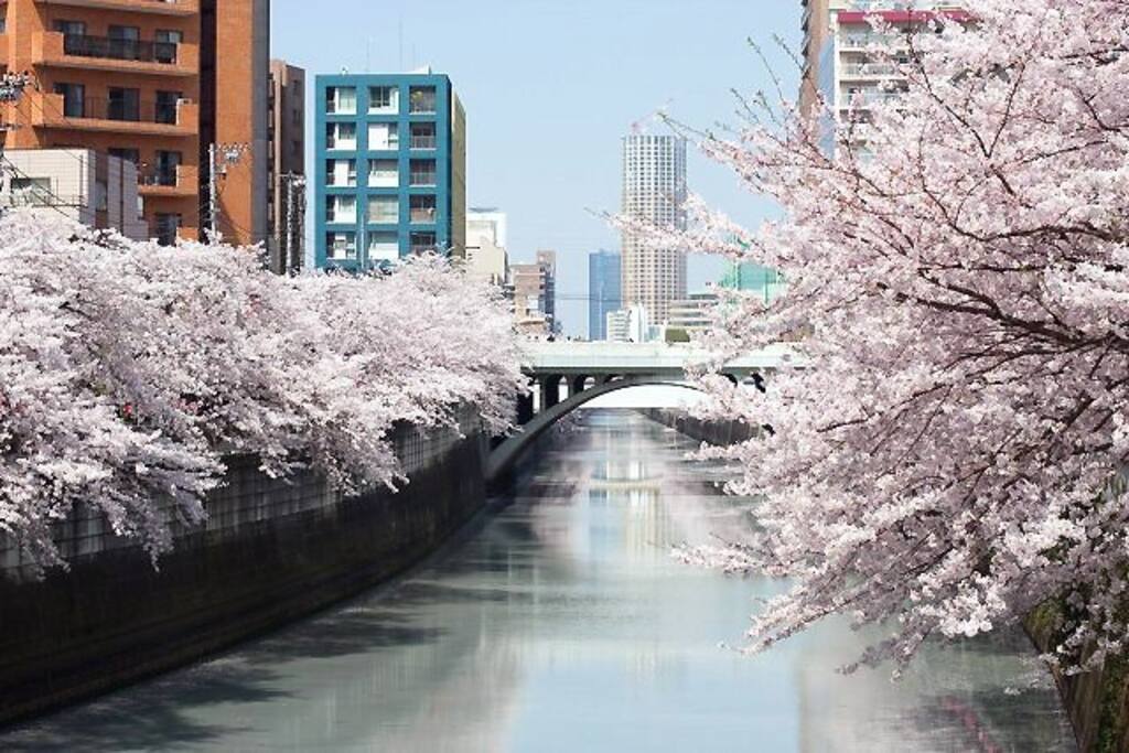 Meguro river