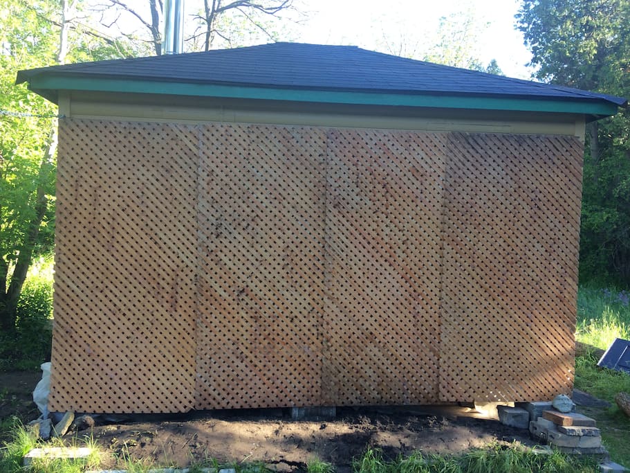 This side of the cabin will soon be covered in climbing veins.
